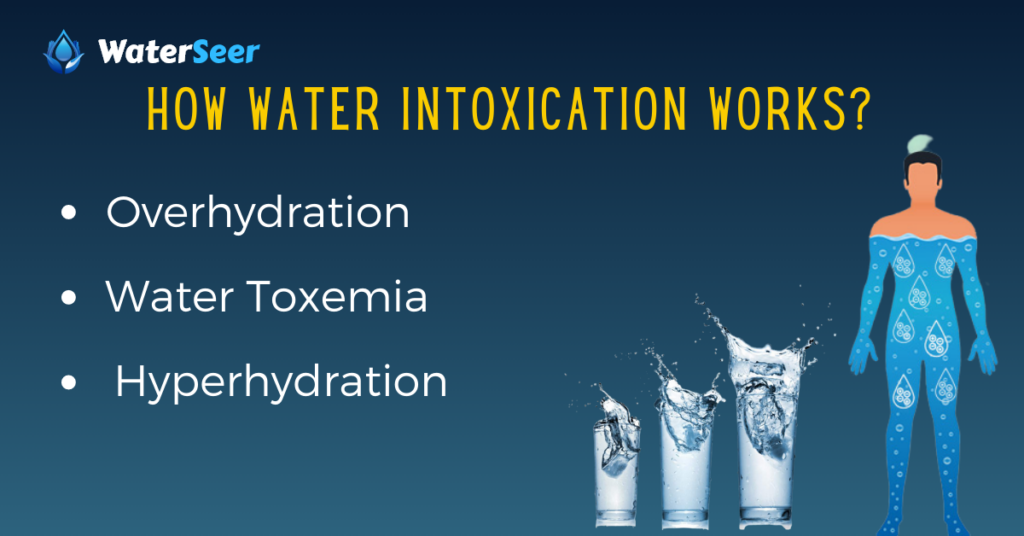 How Water Intoxication Works?