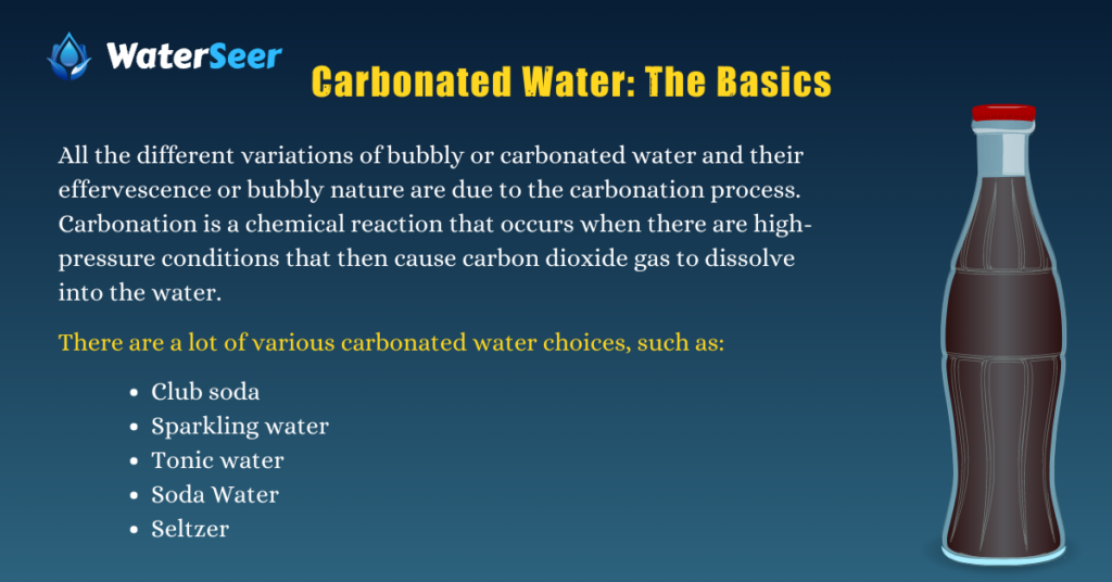 Carbonated Water: The Basics