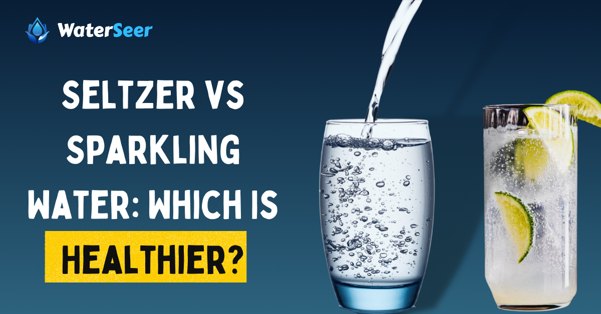 seltzer vs sparkling water