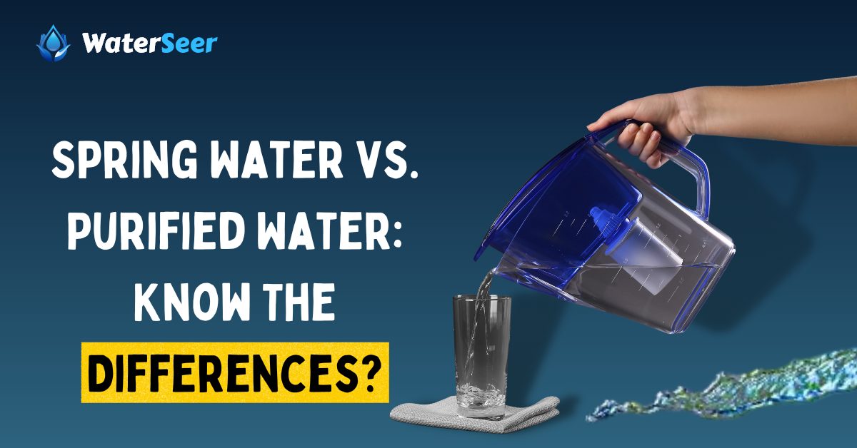 spring water vs purified water