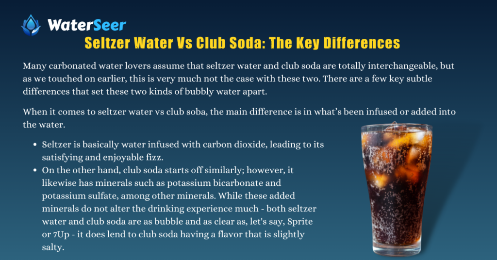 Seltzer Water Vs Club Soda: The Key Differences