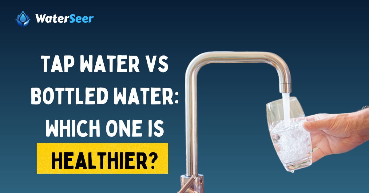 tap water vs bottled water