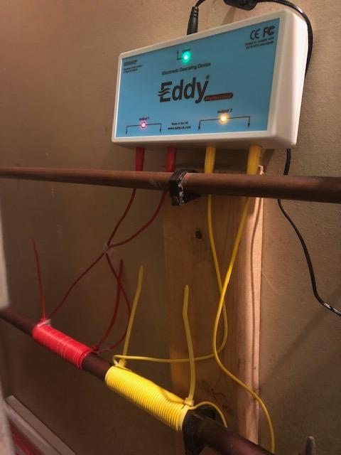 Eddy Electronic Water Descaler-Water Softener Alternative i clicked a picture after installed