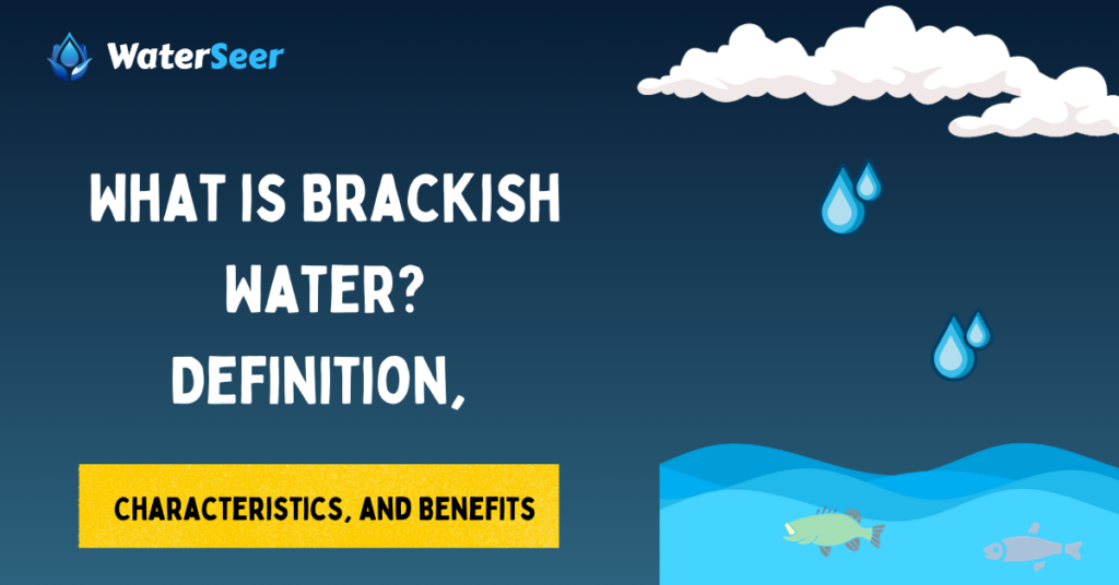 what is brackish water
