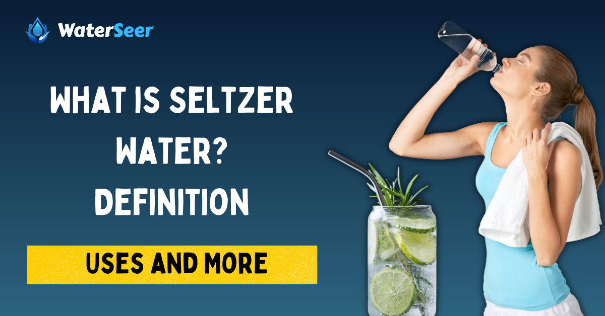 what is seltzer water